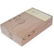 CAO Pilon Robusto (20 cygar)